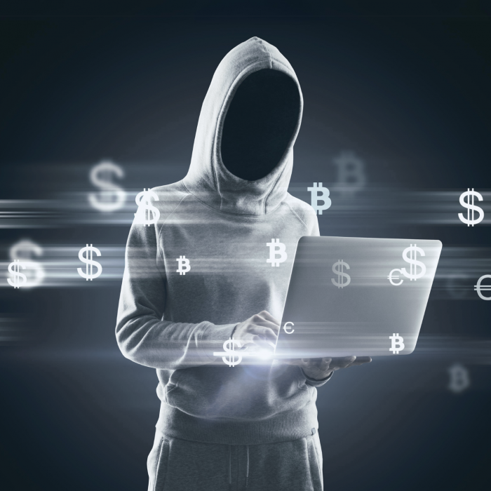 Hooded hacker holding a laptop while dollar signs swirl around them » admin by request