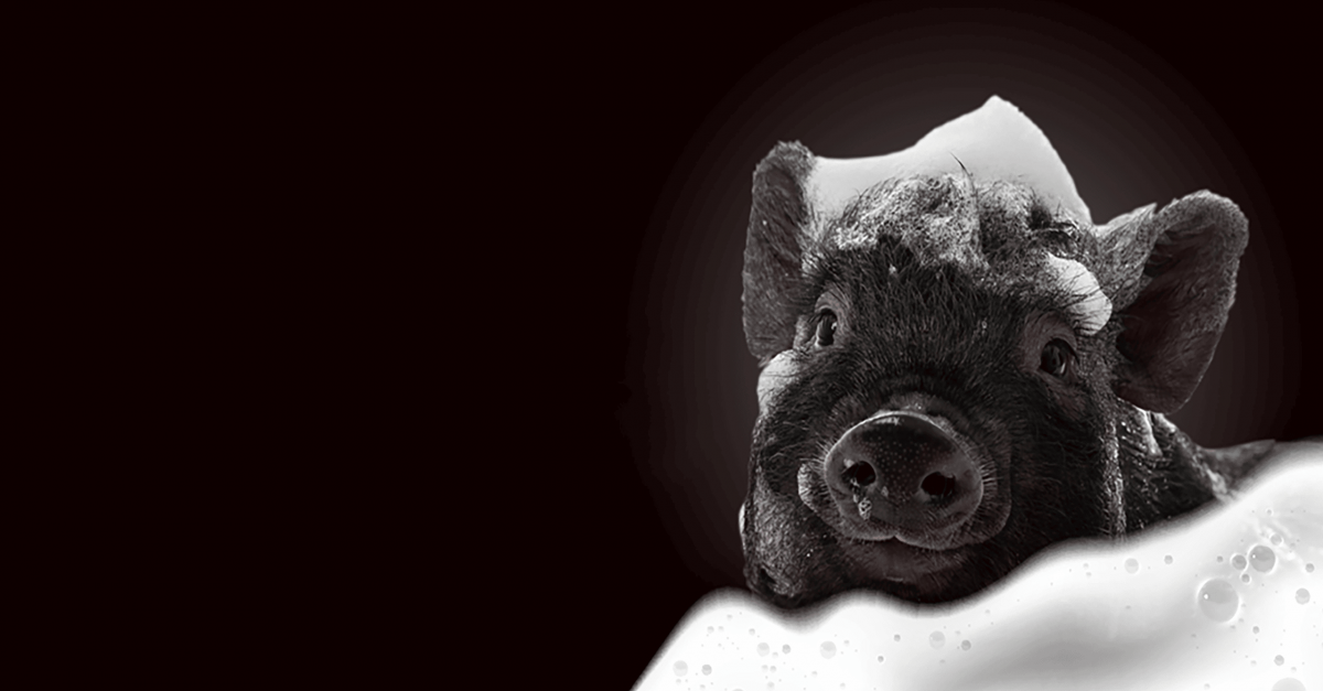 A black and white image of a pig covered in bubbles.